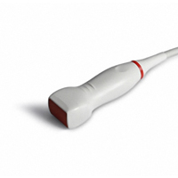 Phased Array Probe - 3P1