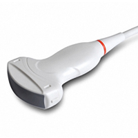 Curved Linear Probe - C353