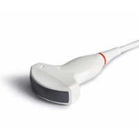 Curved Linear Probe - C354