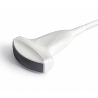 Curved Linear Probe - C362