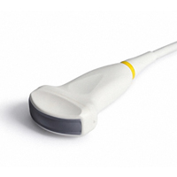 Curved Linear Probe - C543