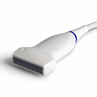Curved Linear Probe - L745